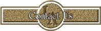 About the Company